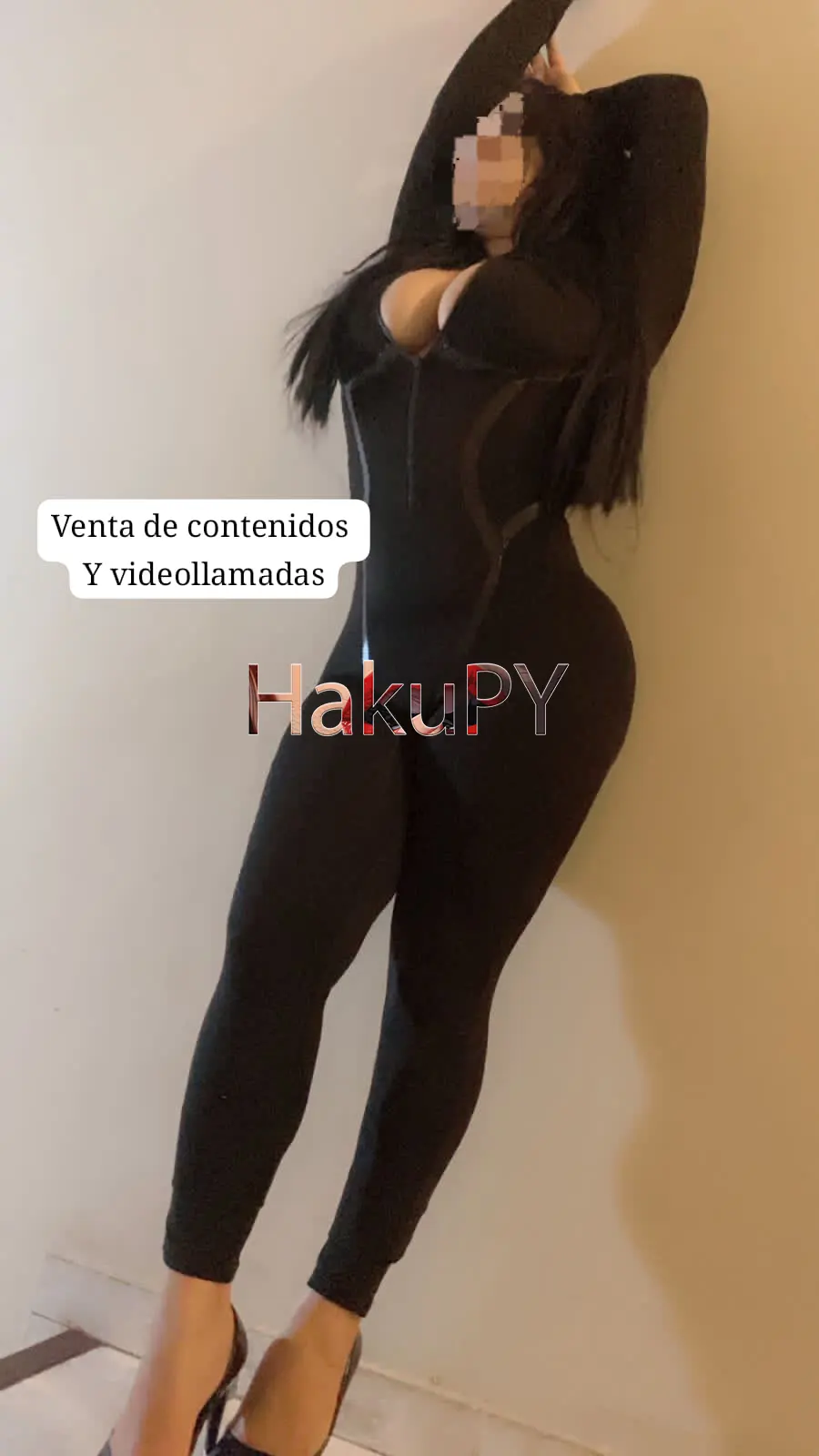 Imagen del catálogo